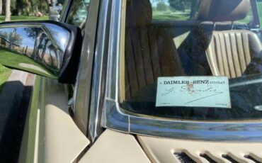 Mercedes-benz-Other-1986-Cream-Brown-15