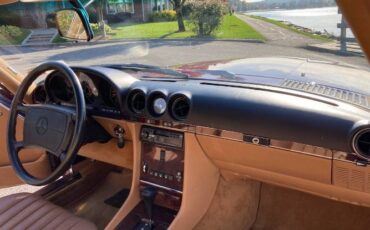 Mercedes-benz-Other-1986-Desert-Red-Metallic-Palomino-Leather-11