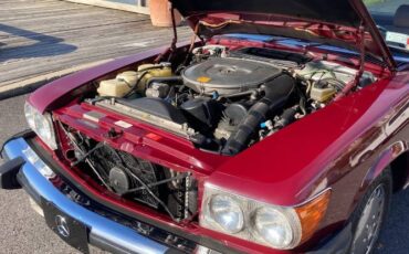 Mercedes-benz-Other-1986-Desert-Red-Metallic-Palomino-Leather-16