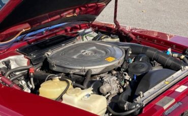 Mercedes-benz-Other-1986-Desert-Red-Metallic-Palomino-Leather-17