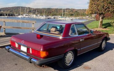 Mercedes-benz-Other-1986-Desert-Red-Metallic-Palomino-Leather-18