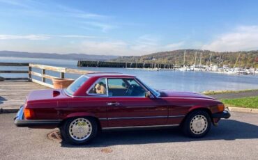 Mercedes-benz-Other-1986-Desert-Red-Metallic-Palomino-Leather-19