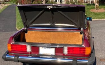 Mercedes-benz-Other-1986-Desert-Red-Metallic-Palomino-Leather-20