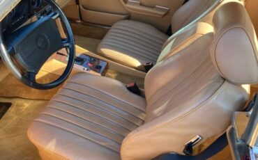 Mercedes-benz-Other-1986-Desert-Red-Metallic-Palomino-Leather-4