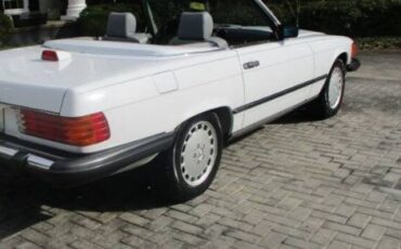 Mercedes-benz-Other-1987-Artic-White-Gray-Leather-14