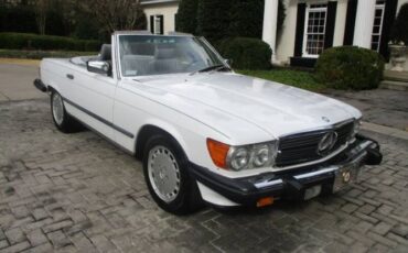 Mercedes-benz-Other-1987-Artic-White-Gray-Leather-3