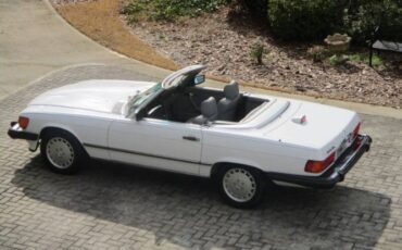 Mercedes-benz-Other-1987-Artic-White-Gray-Leather-39