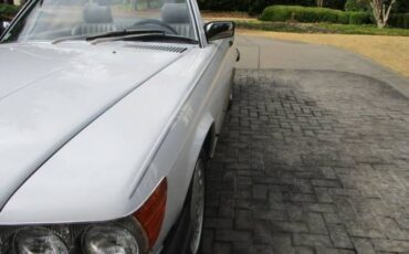 Mercedes-benz-Other-1987-Artic-White-Gray-Leather-40