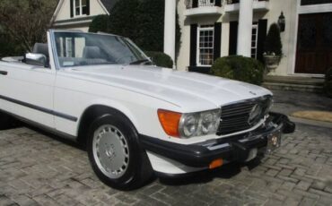 Mercedes-benz-Other-1987-Artic-White-Gray-Leather-41