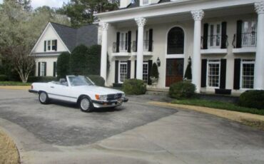 Mercedes-benz-Other-1987-Artic-White-Gray-Leather-8