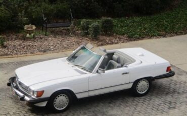Mercedes-benz-Other-1987-Artic-White-Gray-Leather-9