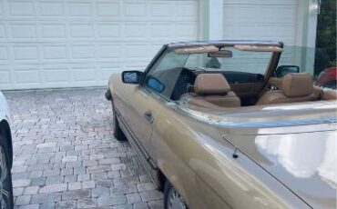 Mercedes-benz-Other-1987-Gold-1