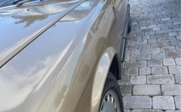 Mercedes-benz-Other-1987-Gold-2