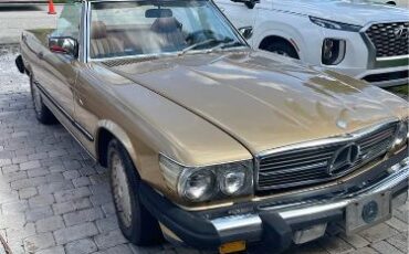 Mercedes-benz-Other-1987-Gold-5