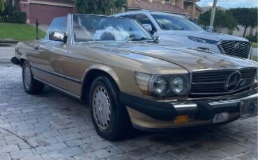 Mercedes-benz-Other-1987-Gold-6