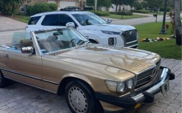 Mercedes-benz-Other-1987-Gold-8