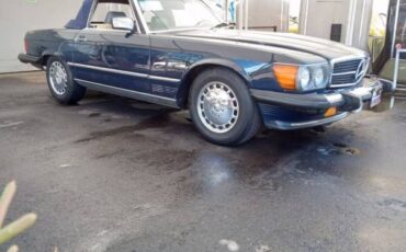 Mercedes-benz-Other-1987-blue-Gray-15