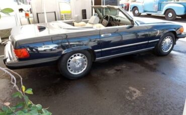 Mercedes-benz-Other-1987-blue-Gray-16
