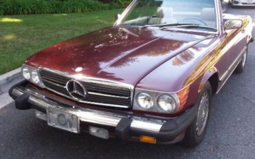 Mercedes-benz-Other-1988-Burgundy-Cream-Leather-12