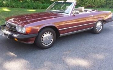 Mercedes-benz-Other-1988-Burgundy-Cream-Leather-16