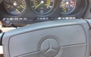 Mercedes-benz-Other-1988-Burgundy-Cream-Leather-9