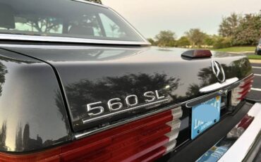 Mercedes-benz-Other-1988-Gray-Black-16