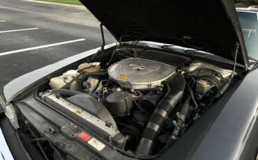 Mercedes-benz-Other-1988-Gray-Black-3