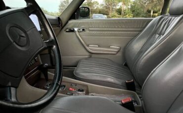 Mercedes-benz-Other-1988-Gray-Black
