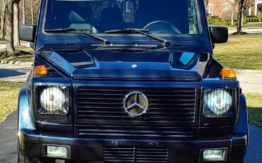 Mercedes-benz-Other-1991-Blue-2