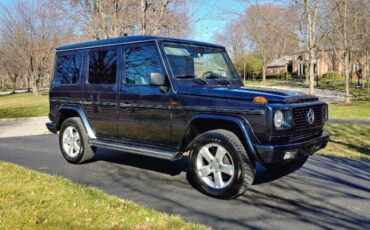 Mercedes-benz-Other-1991-Blue