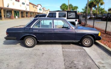 Mercedes-benz-benz-300-300dt-diesel-1985-blue-10
