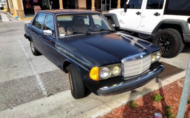 Mercedes-benz-benz-300-300dt-diesel-1985-blue-11