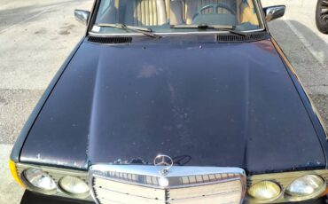 Mercedes-benz-benz-300-300dt-diesel-1985-blue-12