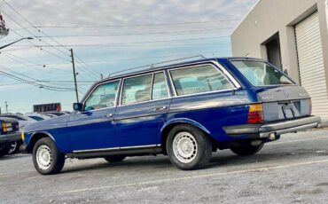 Mercedes-benz-benz-300-diesel-1985-blue-6