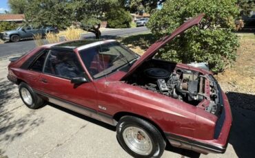 Mercury-Capri-1983-14