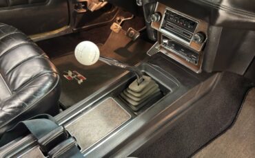 Mercury-Cougar-1969-Yellow-Black-2