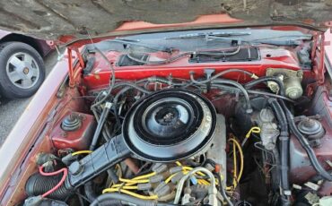 Mercury-Cougar-1985-Red-Gray-8