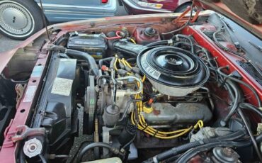 Mercury-Cougar-1985-Red-Gray-9