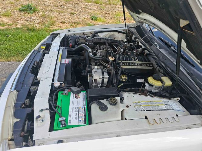 Mercury-Cougar-1995-White-Green-2