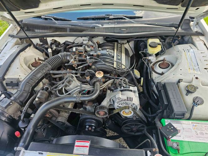Mercury-Cougar-1995-White-Green-3