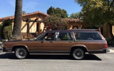 Mercury-Grand-marquis-1984-Metallic-Brown-21