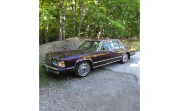 Mercury-Grand-marquis-1989-Maroon-Maroon-43