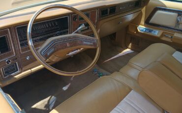 Mercury-Other-1976-Coupe-10
