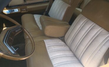 Mercury-Other-1976-Coupe-11