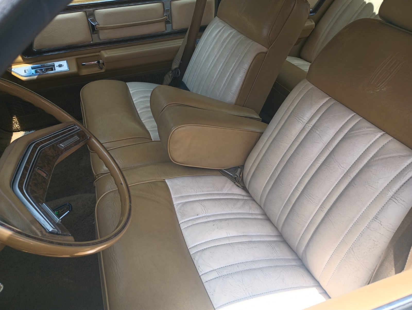 Mercury-Other-1976-Coupe-11