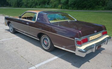 Mercury-Other-1976-Coupe-2