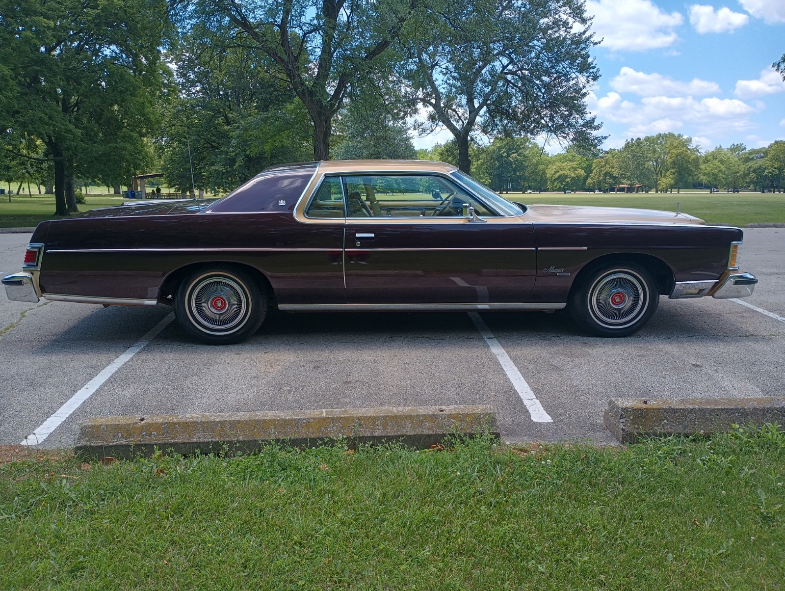 Mercury-Other-1976-Coupe-3