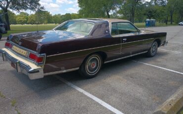 Mercury-Other-1976-Coupe-5