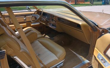 Mercury-Other-1976-Coupe-8