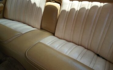 Mercury-Other-1976-Coupe-9